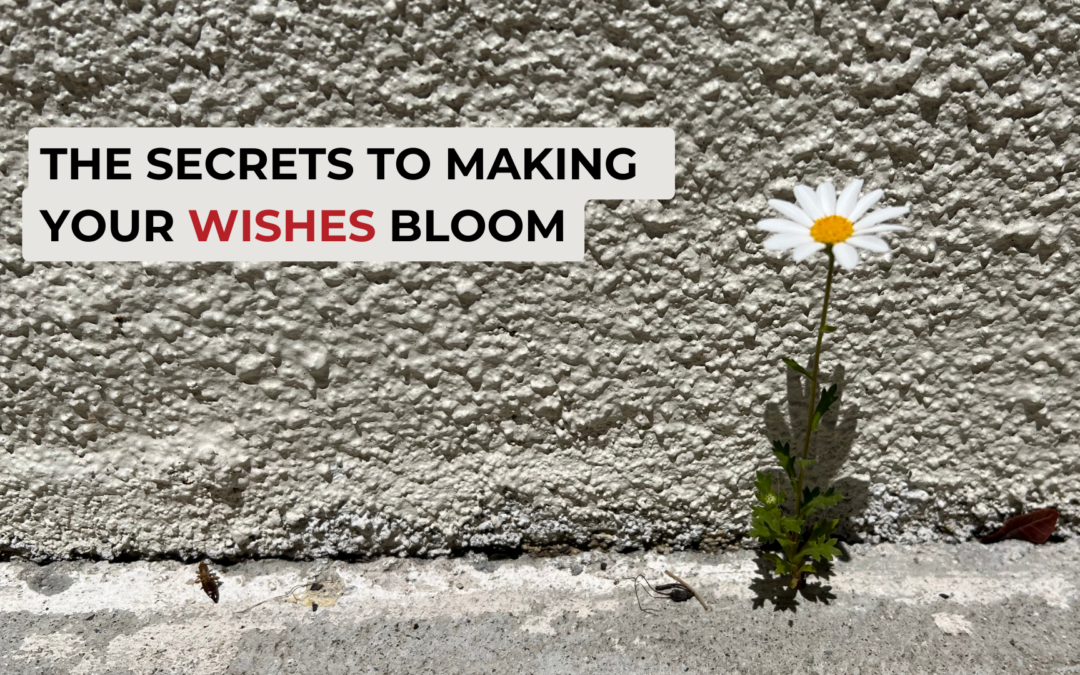 The Secrets to Making Your Wishes Bloom